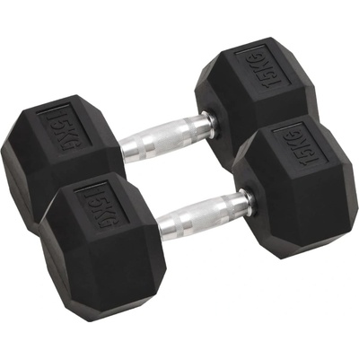 vidaXL litina Jednoruční činky 2 ks 30 kg
