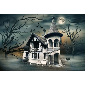 DIMEX ART s. r. o Флизелинов фототапет къща с духове 375 x 250 см