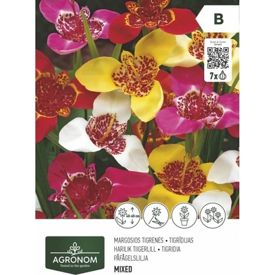 Seklos Тигридиа микс - 10 бр луковицa