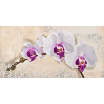 Obraz růž. orchidej plátno 1 120x60
