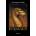 Brisingr
