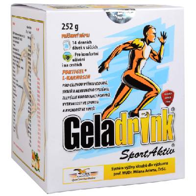 Geladrink Geladrink SportAktiv 252 g