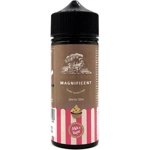 Steam Train Magnificent 24/120ml