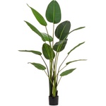 Bizzotto ИЗКУСТВЕНО РАСТЕНИЕ sterilizia 185cm (0172962)