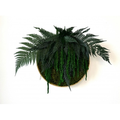 Mechový kruh - Lola Velikost rámu: 40cm