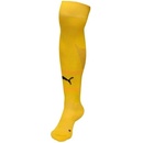 Puma Team FINAL socks