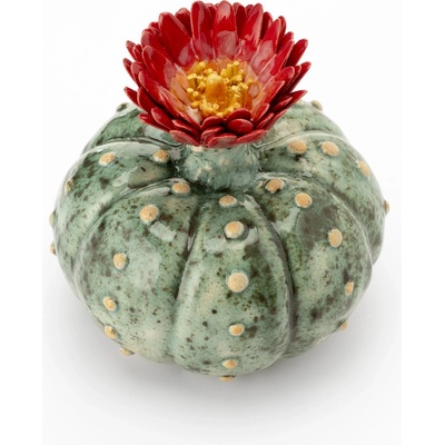 Jaure.ART Keramický kaktus - Astrophytum asterias