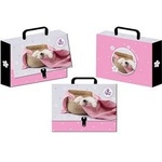Beniamin Cardboard briefcase for clip The Sweet Pets dog A4+ mix Beniamin (5986)