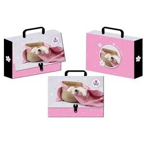 Beniamin Cardboard briefcase for clip The Sweet Pets dog A4+ mix Beniamin (5986)