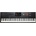 Korg Pa5X 88