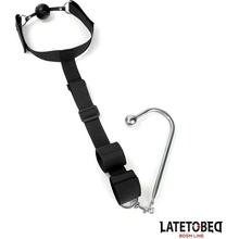 LateToBed BDSM Line Mouth Gag With Cuff And Anal Hook