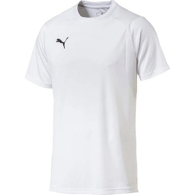 Puma Liga Training 65530804
