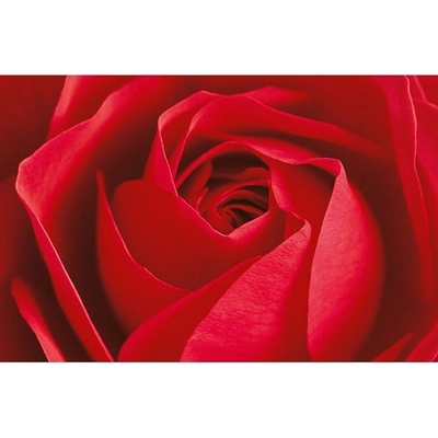 W&G Fototapety L´imporant cest la rose F680 175 x 115 cm