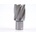 Raptor Rotabroach RAP260