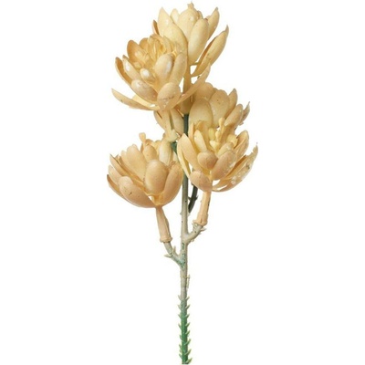 Umělý zápich sukulent bílo-béžový – ø 5 cm, 18 cm