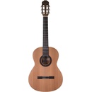 Prodipe Guitars STUDENT