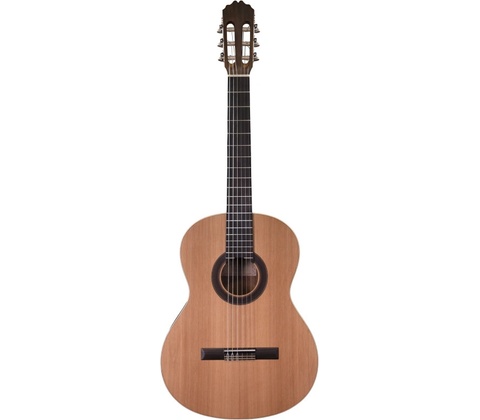 Prodipe Guitars STUDENT