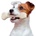 Кокали за дъвчене GoodBite Chicken XS - 0.060кг
