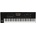 Korg Pa4X 76