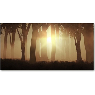 Foto obraz fotografie na skle Hmla v lese 100x50 cm