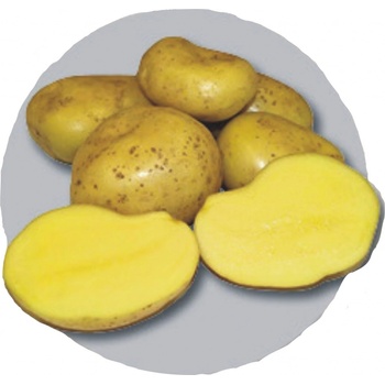. Sunshine - české sadbové zemiaky 5kg