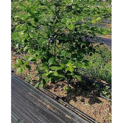 PEMI tkaná textília 100 g/m², rozmer 3,2 x 100 m, farba ČIERNA