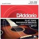 DAddario EFT17