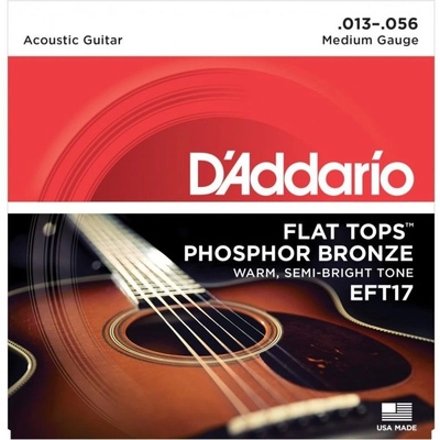 DAddario EFT17