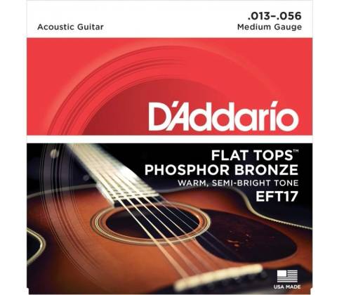 DAddario EFT17