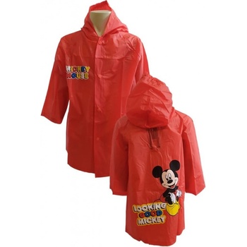 E plus M Mickey Mouse