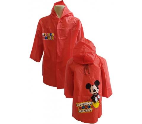 E plus M Mickey Mouse