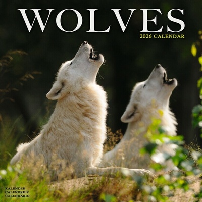 Wolves, 30,5 x 30,5 30,5 x 61 cm 2026