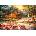 KS Games - Puzzle Pinson: Seize the Day - 1 000 piese