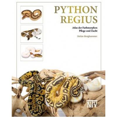 Python regius