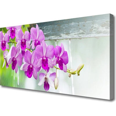 Obraz Canvas Orchidey kvapky príroda 100x50 cm