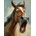 Norimpex - Puzzle Diamant painting: Amazed horse 30x40cm - 1 - 39 piese