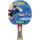 Joola Cobra