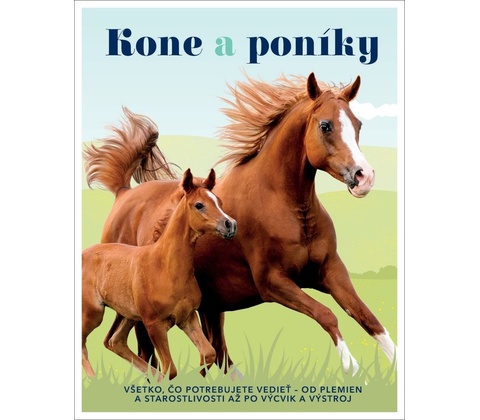 Kone a poníky