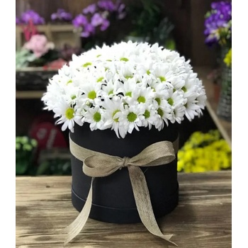 Image 1 of АРАНЖИРОВКА ОТ БЕЛИ ХРИЗАНТЕМИ