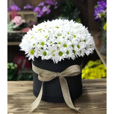 АРАНЖИРОВКА ОТ БЕЛИ ХРИЗАНТЕМИ