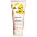 Přípravky pro péči o ruce a nehty Inebrya Ice Cream ArganAge krém na ruce 100 ml