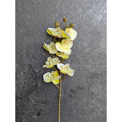Sempro Vetvička orchidea 638L-02 žlto-zelená 75cm