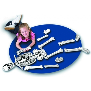 Learning Resources Pěnová puzzle kostra