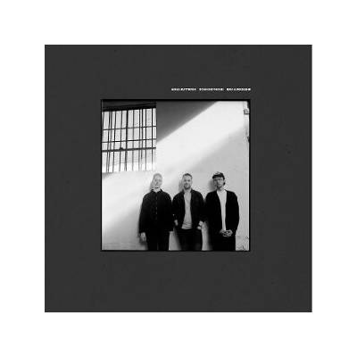 Anna Butterss, Ben Lumsdaine, John Raymond - Beginningless LP