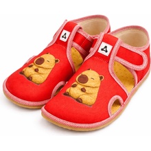 Antal Rascal Capybara Red