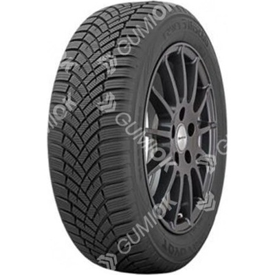 Toyo Observe EWS1 225/45 R18 95V