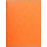 Exacompta Екзакомпта А4, оранжева папка с преспапие p2210-0152 (p2210-0152)