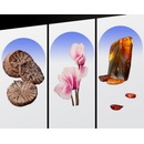 Bruno Banani Magic Man sprchový gél 250 ml