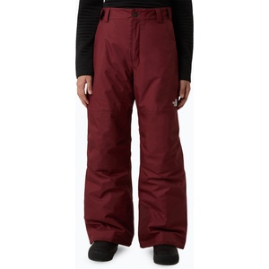 The North Face Детски скиорски панталони The North Face Freedom Insulated Sumac