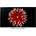 LG 55EG9A7V